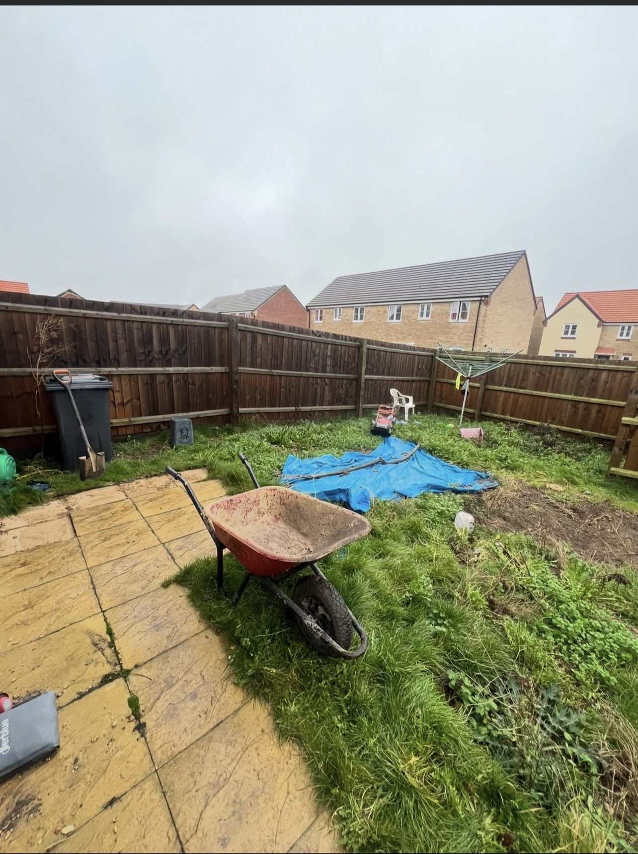 Rear garden — before clearance